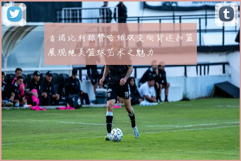 吉诺比利称赞哈珀双变向背运扣篮展现绝美篮球艺术之魅力