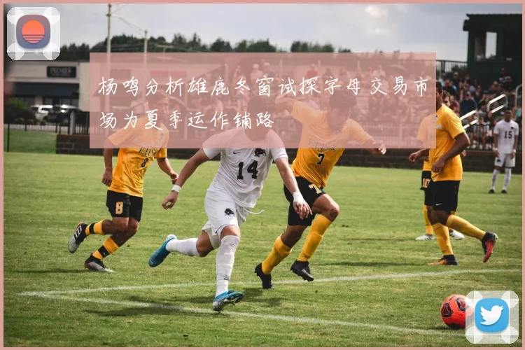 杨鸣分析雄鹿冬窗试探字母交易市场为夏季运作铺路